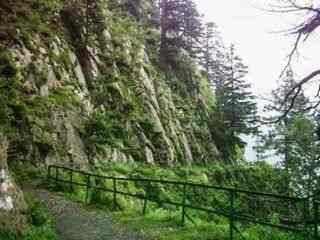 Holiday Tour Package Nathiagali (3D/2N)